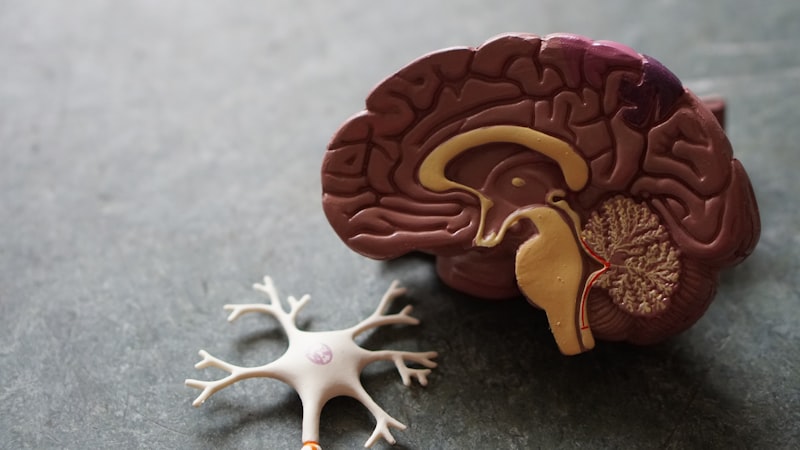 Deterioro cognitivo leve: 7 señales tempranas que no debes ignorar